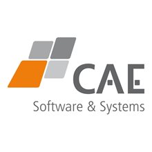 CAE Software & Systems