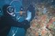 Cygnus Instruments Underwater Ultrasonic Thickness Gauge