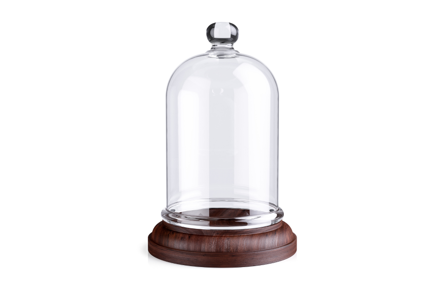 Suction-Cup.jpeg