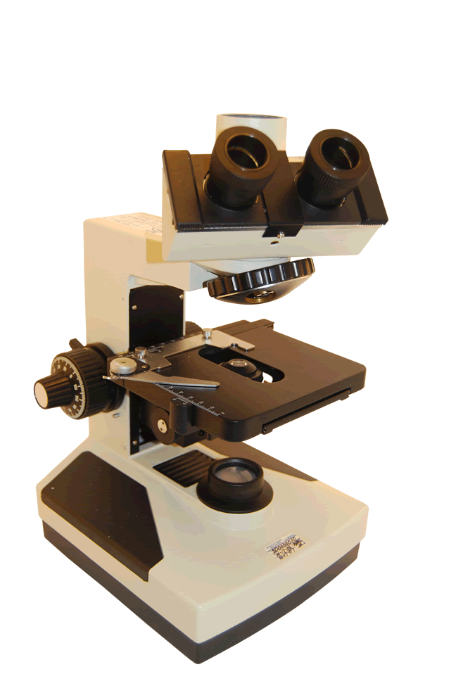 Image of Phenix XSP-10 Series Biological Microscope 40X - 1600X Image of Phenix XSP-10 Series Biological Microscope 40X - 1600X